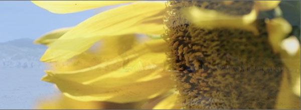 crossSlide CrossSlide, slideshow animation JQuery Plugin