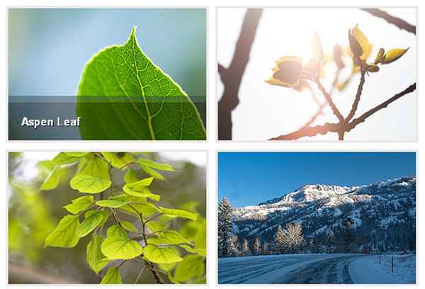 captify Captify   displaying image caption JQuery plugin