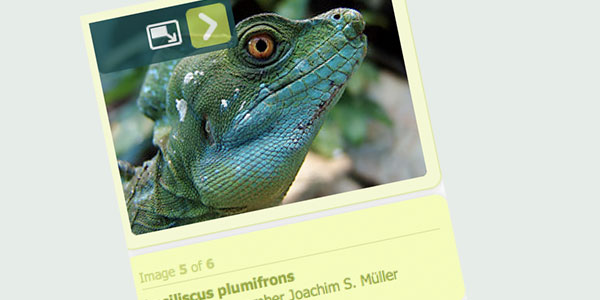 jquery popeye jQuery.popeye  Inline Lightbox Alternative