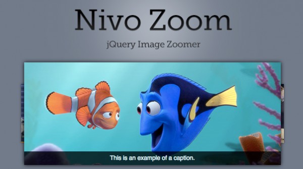 nivo zoom 600x334 Nivo Zoom   jQuery Image Zoomer