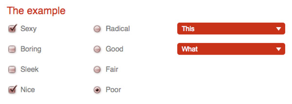 style form element How to Style Checkboxes, Radio Buttons and Select Lists