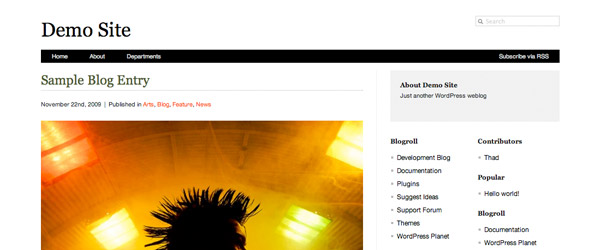 13 gridline lite A Collection of 25 Super High Quality WordPress Themes