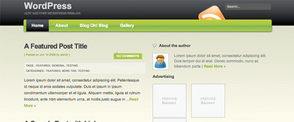 14 excellence A Collection of 25 Super High Quality WordPress Themes