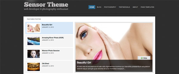 7 sensor theme A Collection of 25 Super High Quality WordPress Themes