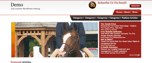 9 fashion blogger A Collection of 25 Super High Quality WordPress Themes