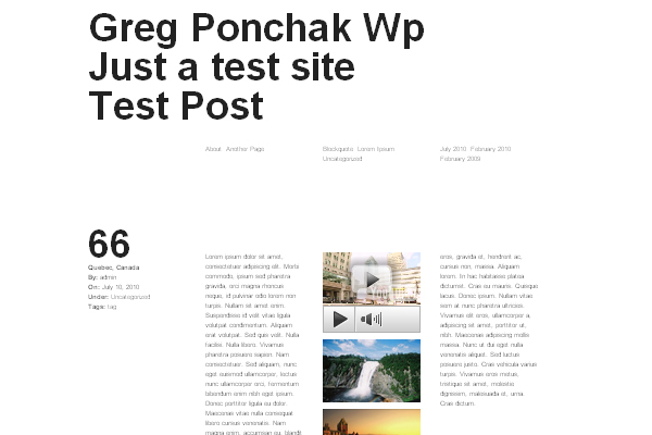 Functionalism 28 Clean and Minimalist WordPress Themes