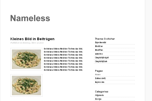 Simplicity 28 Clean and Minimalist WordPress Themes