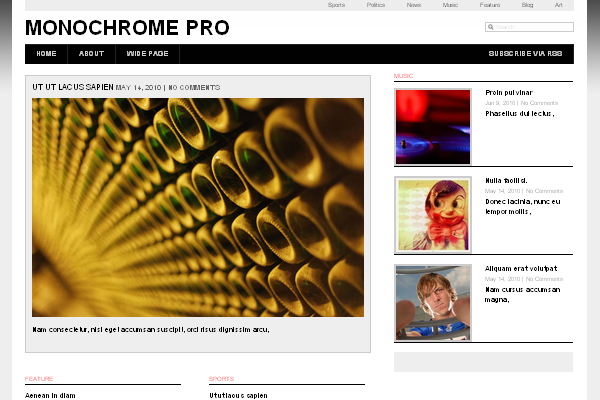 MONOCHROME PRO 108 Free High Quality Wordpress Themes