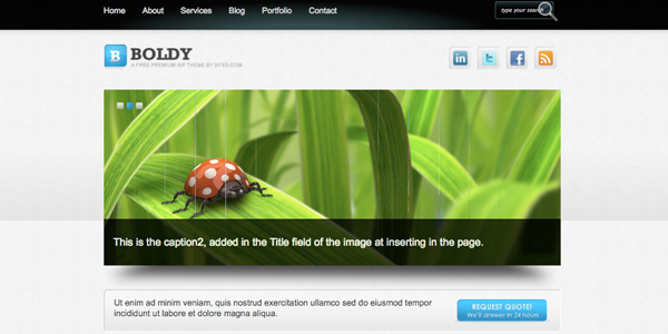 boldy 20 Excellent Free Wordpress 3.0 Themes