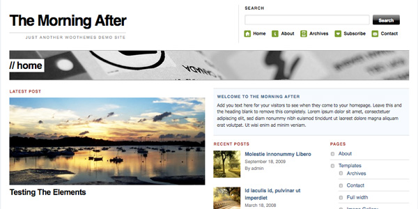 themorningafter 20 Excellent Free Wordpress 3.0 Themes