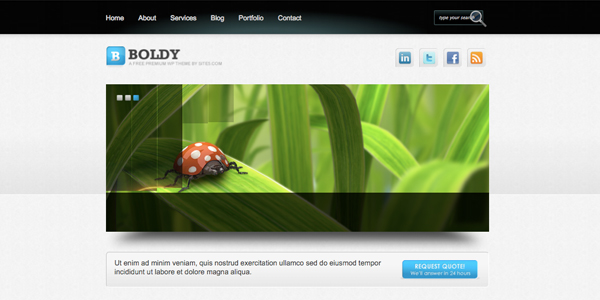 boldy 13 New and Free High Quality Wordpress Themes