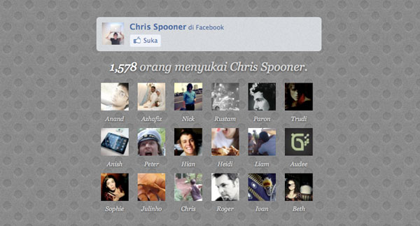 facebook page How To Customise Facebook Like Box