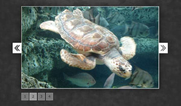 tinyfader 30 Powerfull Free jQuery Content Slider