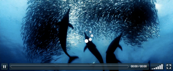 videojs 20 Excellent HTML5 Video Players