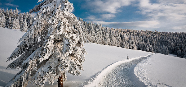 snowy winter 002 35 Examples of Beautiful Winter Photography