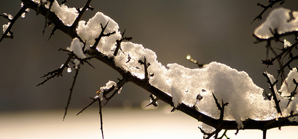 snowy winter 006 35 Examples of Beautiful Winter Photography