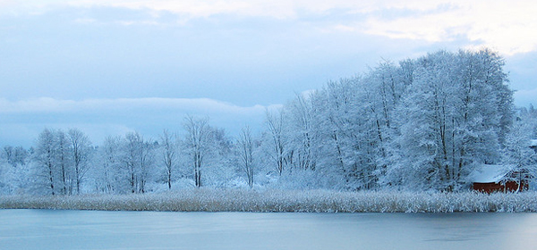 snowy winter 010 35 Examples of Beautiful Winter Photography