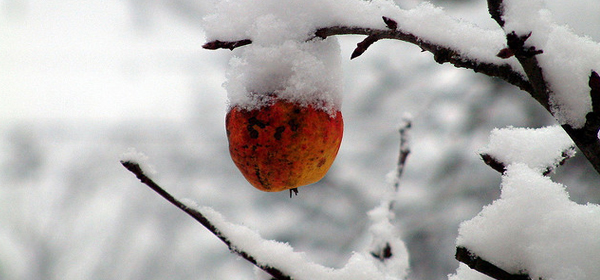 snowy winter 012 35 Examples of Beautiful Winter Photography