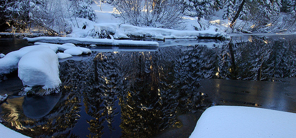 snowy winter 015 35 Examples of Beautiful Winter Photography