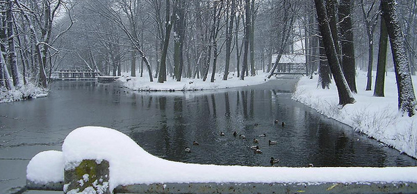 snowy winter 019 35 Examples of Beautiful Winter Photography
