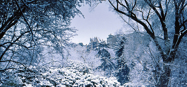 snowy winter 027 35 Examples of Beautiful Winter Photography