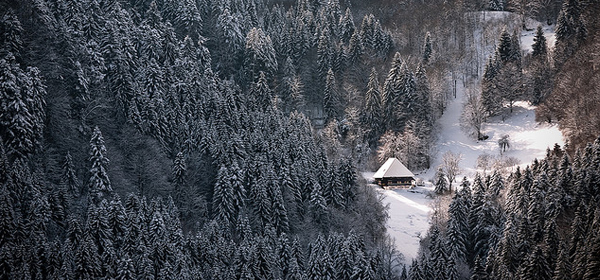 snowy winter 030 35 Examples of Beautiful Winter Photography