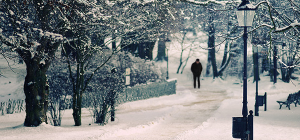 snowy winter 031 35 Examples of Beautiful Winter Photography