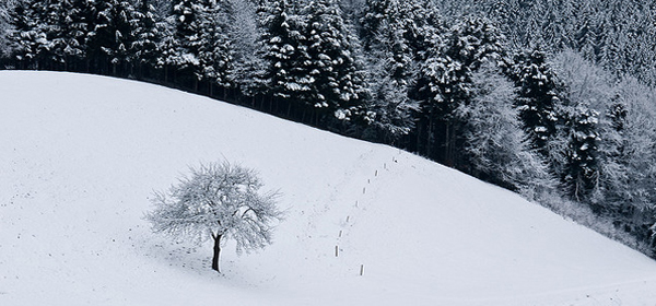 snowy winter 032 35 Examples of Beautiful Winter Photography