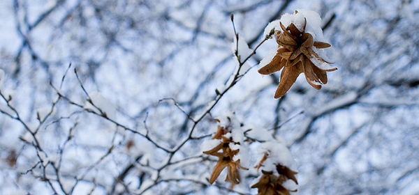 snowy winter 033 35 Examples of Beautiful Winter Photography
