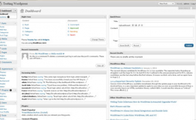 customizedash13 285x175 Wordpress Dashboard customization 1