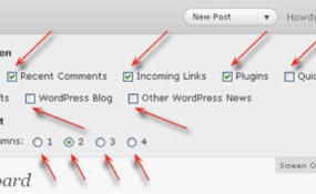 customizedash31 285x175 Wordpress Dashboard customization 3