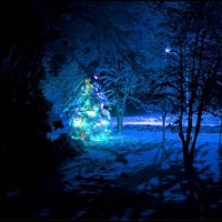 210 200x200 Free 40 Merry Desktop Christmas Wallpapers