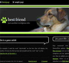 bestfriend Best Friend