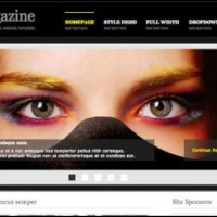 61 200x200 21 Free HTML5 and CSS3 Corporate & Folio Templates