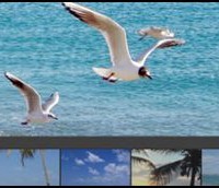 91 200x172 21 Free HTML5 and CSS3 Corporate & Folio Templates