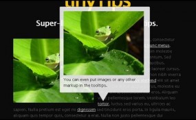 113 285x175 TinyTips jQuery Plugin