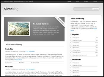 SilverBlog 40 Free HTML5 and CSS Templates