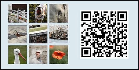 neteye NetEye Touch Gallery