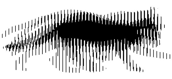 ScreenHunter 181 Sep. 12 10.53 Create Your Own Animated Optical Illusions