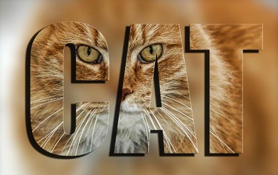 ScreenHunter 252 Sep. 17 10.56 Placing An Image Inside Text Using Adobe Photoshop