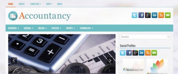 accountancy wordpress theme