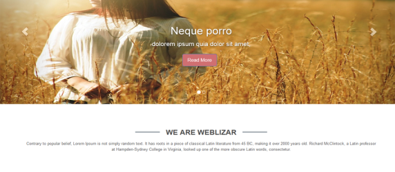 Weblizar-Wordpress
