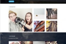 zifer-child-wordpress